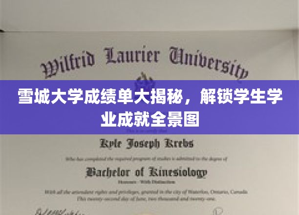 雪城大学成绩单深度解析，全景展现学生学业成就