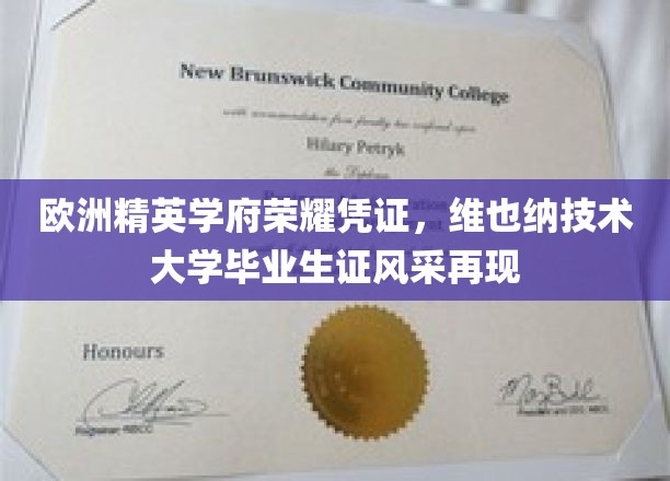 维也纳技术大学荣耀证书，精英学子风采新篇章