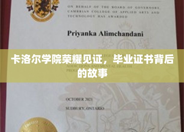 卡洛尔学院荣耀见证，毕业证书背后的故事