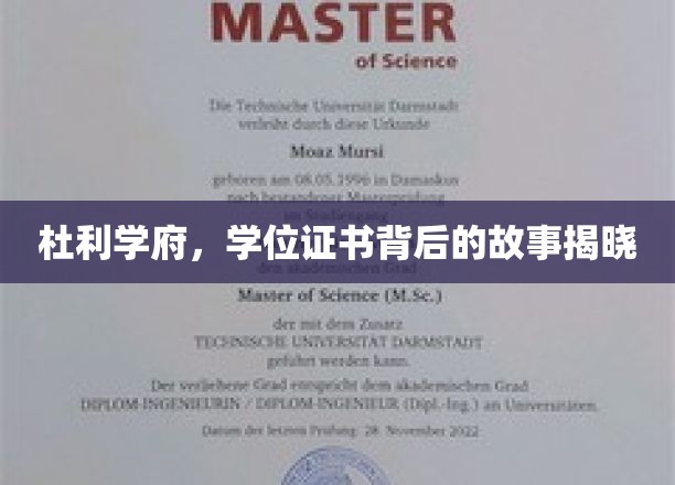 探寻杜利学府学位证书的神秘面纱