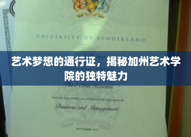 艺术殿堂的加州秘境，探索加州艺术学院的独到风采