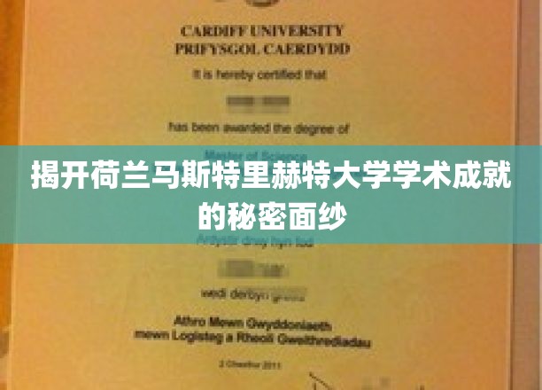 探索马斯特里赫特大学卓越学术成果的神秘之门