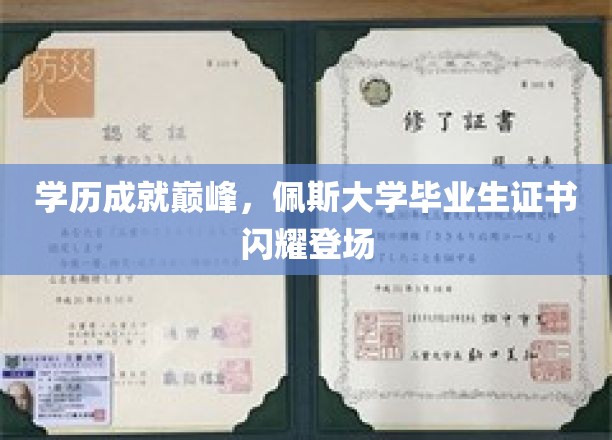 学历成就巅峰，佩斯大学毕业生证书闪耀登场