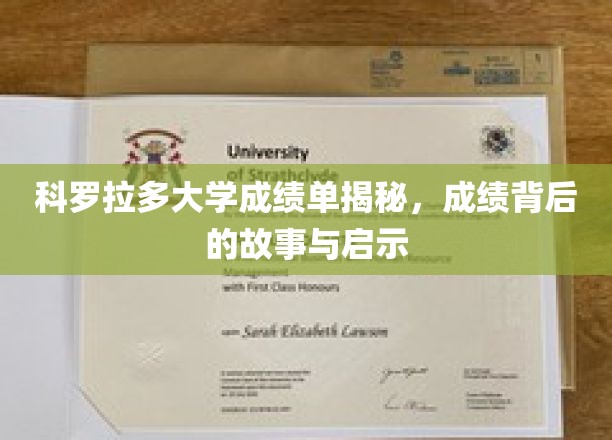 科罗拉多大学成绩单背后的精彩人生轨迹