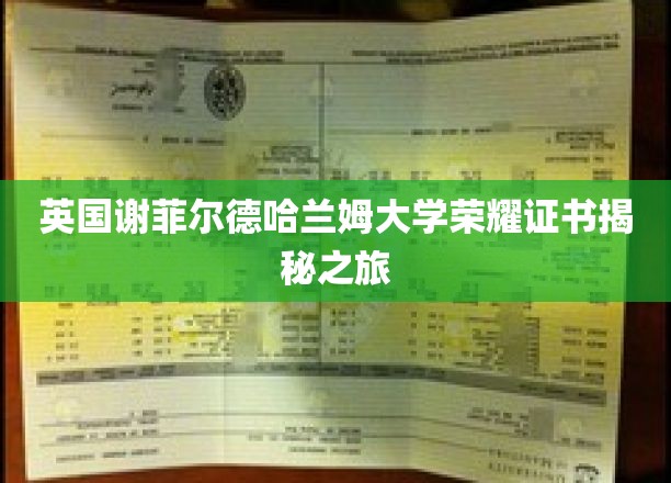 揭开谢菲尔德哈兰姆大学荣耀证书背后的秘密之旅