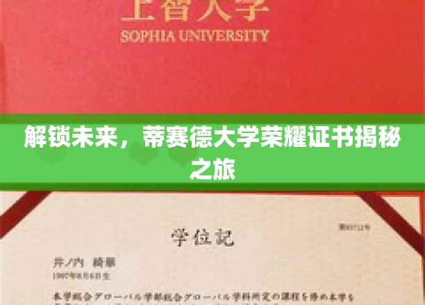 探索蒂赛德大学荣耀证书背后的奥秘