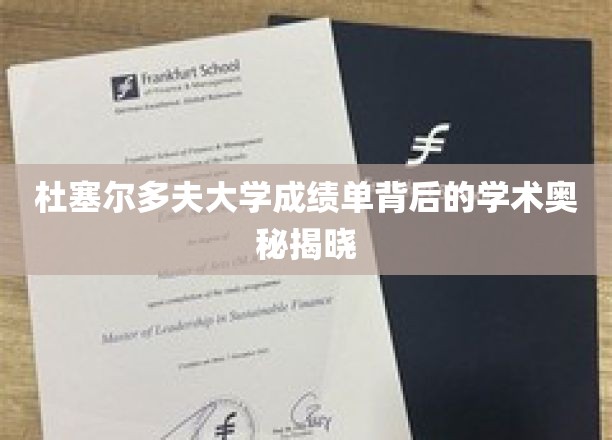揭开杜塞尔多夫大学成绩单背后的独特学术密码