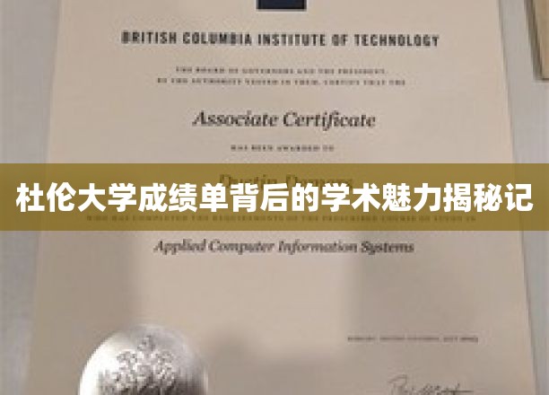 杜伦大学成绩单，探寻隐藏在数字背后的学术风采