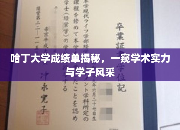 哈丁大学成绩单揭秘，一窥学术实力与学子风采