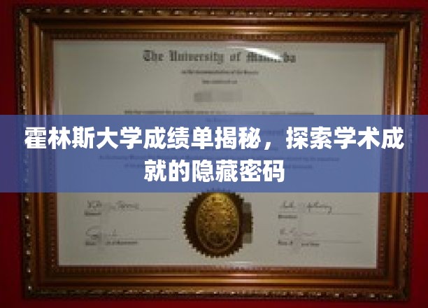 霍林斯大学成绩单背后，解码学术辉煌的秘密世界