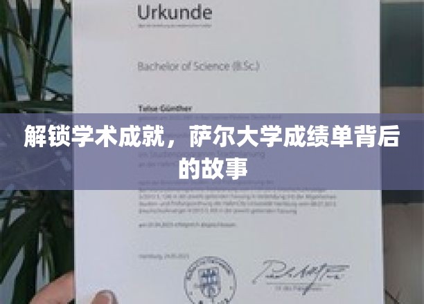 探寻学术成就背后的故事：萨尔大学成绩单的奥秘