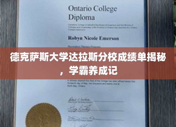 解码德克萨斯大学达拉斯分校学霸之路，成绩单背后的养成秘诀