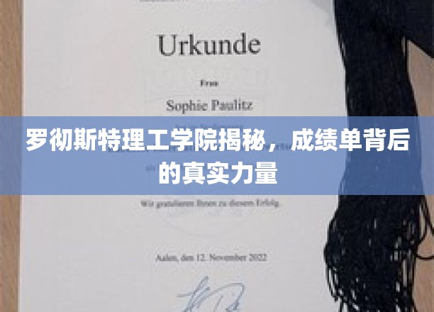 解码罗彻斯特理工学院，成绩单背后的神秘力量
