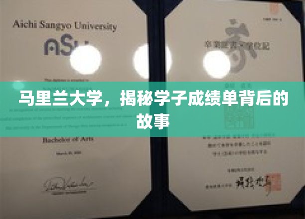 马里兰学子成绩单背后，一场不为人知的学术旅程