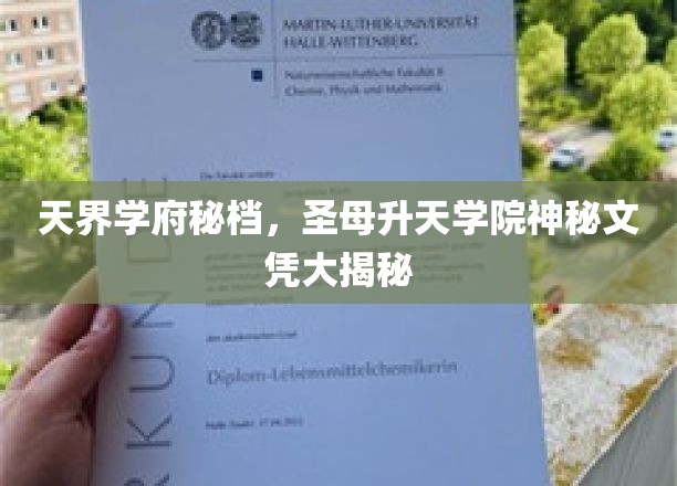 天界学府秘境探秘，圣母升天学院神秘文凭之谜揭晓