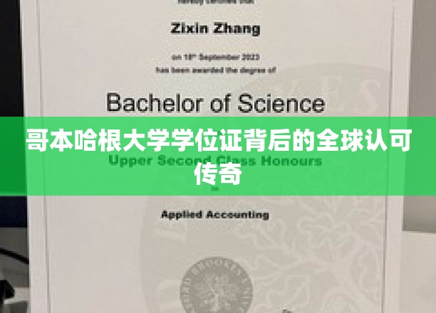 哥本哈根大学学位证，跨越国界的全球认可传奇之旅