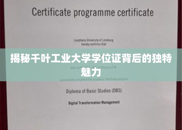 深度解析千叶工业大学学位证的独特魅力