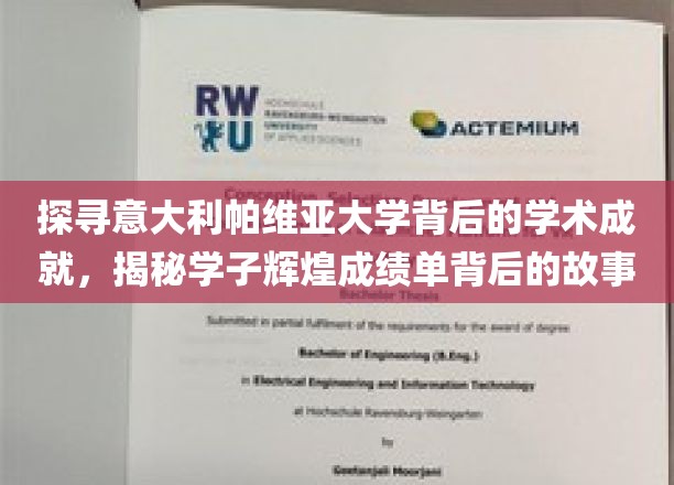 解码帕维亚大学学术荣耀，学子卓越成就背后的传奇之路