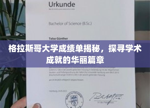 格拉斯哥大学成绩单揭秘，探寻学术成就的华丽篇章