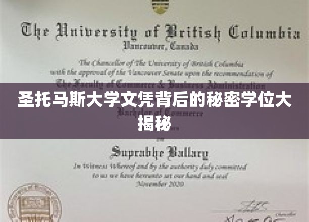 探寻圣托马斯大学文凭背后的真实学位奥秘