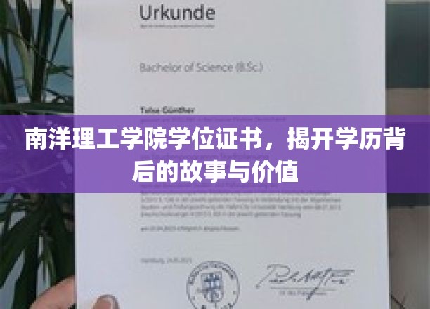 南洋学位背后的传奇，探寻学历的深层价值与历程