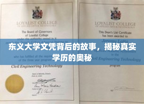 东义大学文凭之谜，探寻学历认证的神秘面纱