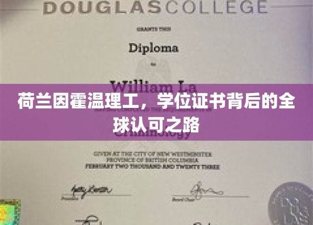 荷兰因霍温理工，国际舞台上，学位证书闪耀全球的奥秘