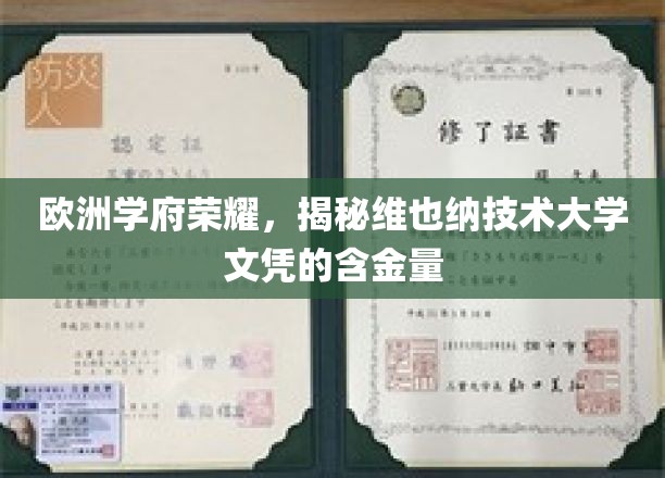 欧洲精英学府名片，维也纳技术大学学位的珍贵价值探秘
