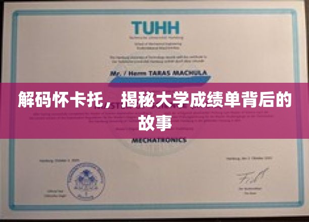 解锁怀卡托大学，成绩单里的学术传奇