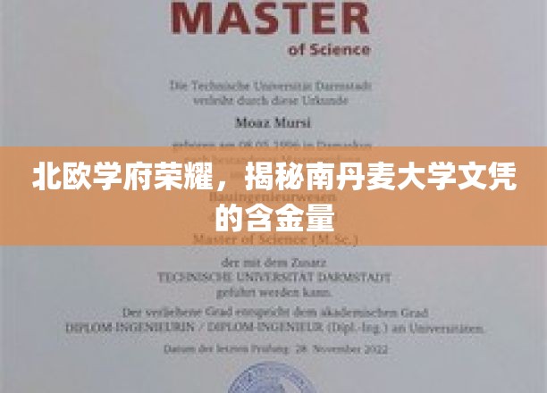解码北欧精英教育，南丹麦大学文凭的非凡价值