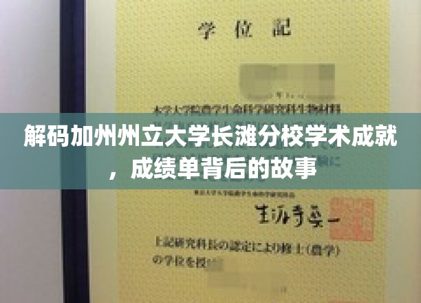 解锁加州长滩分校学术密码，揭秘学子成就背后的非凡旅程