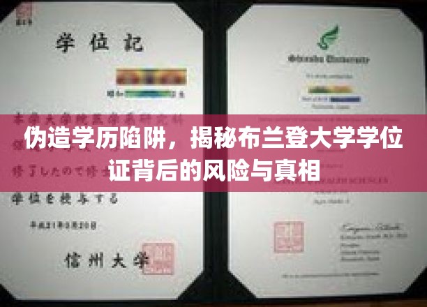 布兰登大学学历证疑云，揭秘伪造学位的潜在风险与真实影响