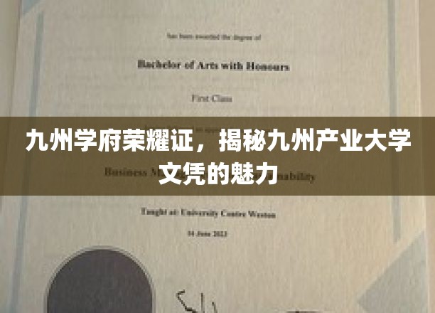 九州文凭之光，揭秘产业大学的非凡魅力