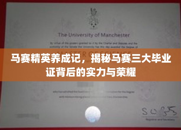 马赛精英之路，解码三大毕业证背后的辉煌与实力