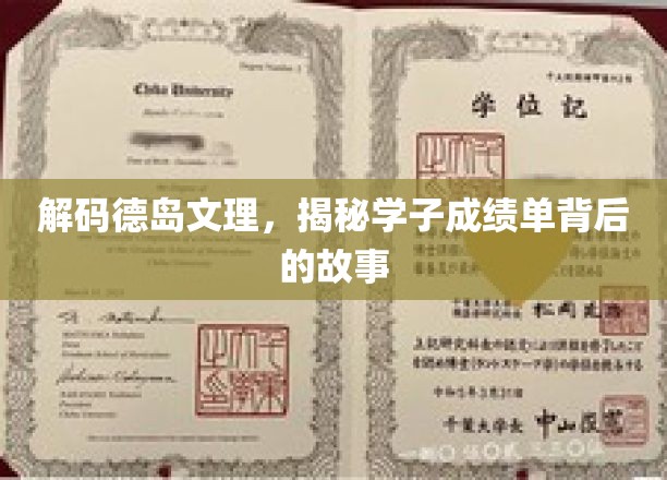 解码德岛文理，探寻学子成绩单背后的故事