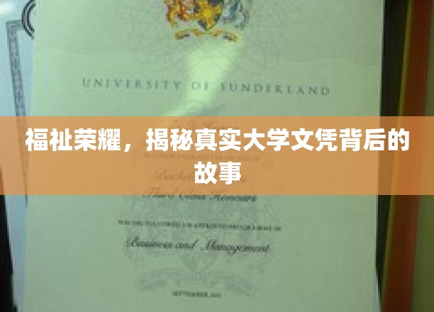 学历背后的神秘面纱，揭开大学文凭的奥秘之旅