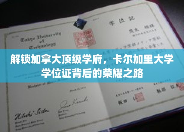探索加拿大顶级学府，卡尔加里大学学位证背后的荣耀之路