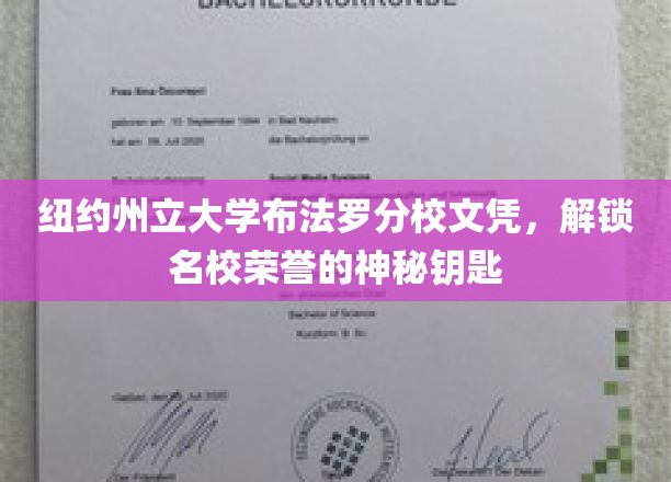 纽约州立大学布法罗分校文凭，解锁名校荣誉的神秘钥匙