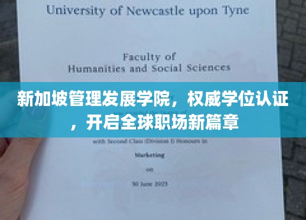 新加坡管理发展学院，权威学位认证，开启全球职场新篇章