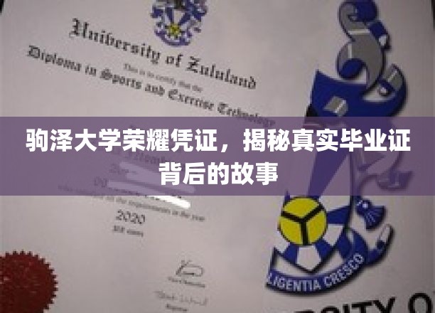 驹泽大学荣耀凭证,揭秘真实毕业证背后的故事