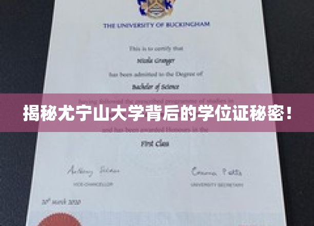 尤宁山大学学位证之谜，探寻学历认证背后的真相