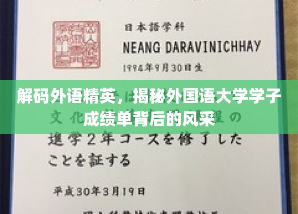 外语尖兵养成记，一探外国语大学学霸背后的秘密力量