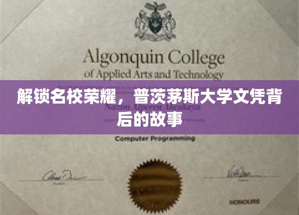 解锁名校荣耀，普茨茅斯大学文凭背后的故事