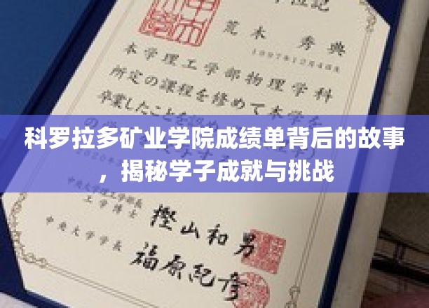 科罗拉多矿业学院成绩单背后的故事，揭秘学子成就与挑战