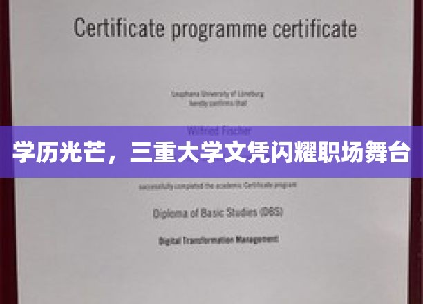 学历光芒，三重大学文凭闪耀职场舞台