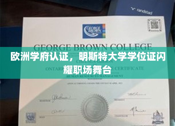 欧洲学府认证，明斯特大学学位证闪耀职场舞台