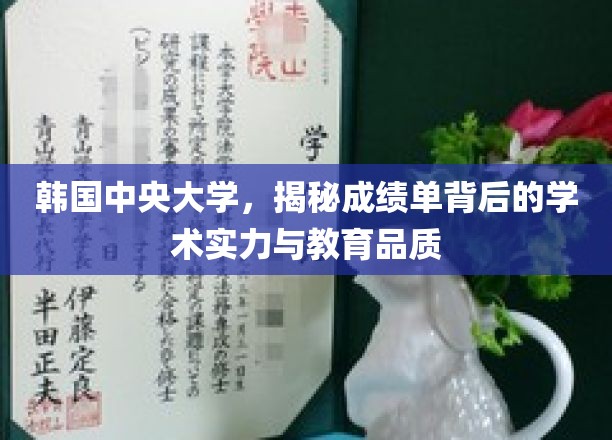 韩国中央大学，探秘学霸成绩单背后的教育实力与学术魅力