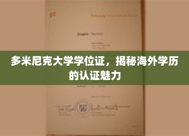多米尼克大学学位证，揭秘海外学历的认证魅力