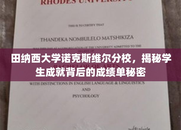 揭秘田纳西大学诺克斯维尔分校学子卓越背后的惊人成绩单秘诀