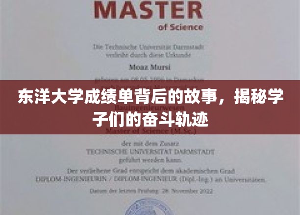 东洋大学成绩单背后的故事，揭秘学子们的奋斗轨迹